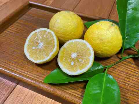 甘夏＆ゴールデンオレンジ《香り食べくらべ》セット5 キロ