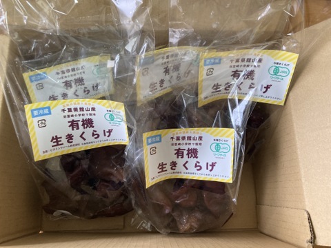有機JAS認証『生きくらげ』100g×5P