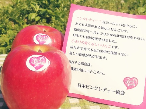 【母の日ギフト】ピンクレディー™ 3kg箱｜ありがとうを贈る大人のりんご（カード付）