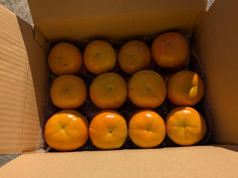 【ご家庭用】和歌山の富有柿