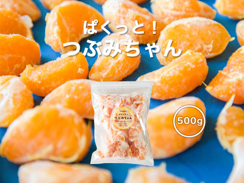 冷凍ミカン（有田みかん） ぱくっとつぶみちゃん  500g×1袋　850