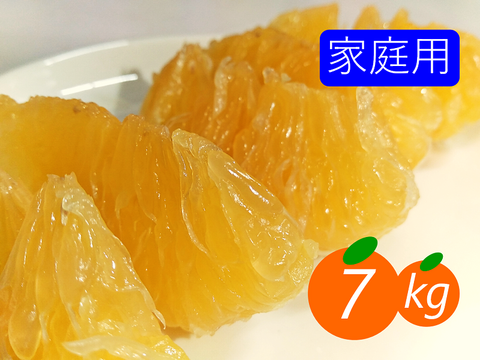 【家庭用】河内晩柑 7kg 爽快！スプラッシュ！！和製グレープフルーツ♡