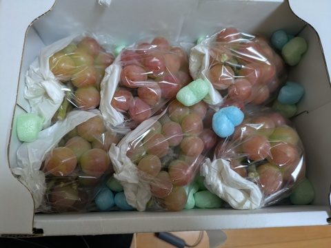 上品な香り！赤いマスカット「マスカットビオレ」（訳あり・2kg箱）