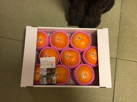 太秋柿❗9玉入り3Ｌサイズ　3.5k箱
食味も食感も抜群です。
福岡県久留米市田主丸産