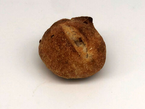 全部有機！パンセット⑮：麦の栽培から一貫生産　自然栽培有機小麦のみ使用した小さな有機フランスパンセット