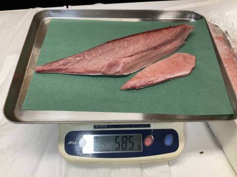 【冬は旨すぎる】コシナガマグロ/バケ/本マグロに似た姿と味/脂のり抜群/原体4kgの1/4【腹】【今だけ生】