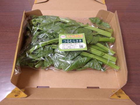 お野菜 お野菜ボックス（Lサイズ） – FarmFresh Japan