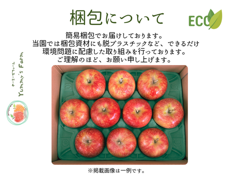 もぎたて 即日発送 りんご サンふじ 贈答用 5kg 長野県産 信州りんご発祥の地 産地直送 除草剤不使用 人にやさしく環境にもやさしい