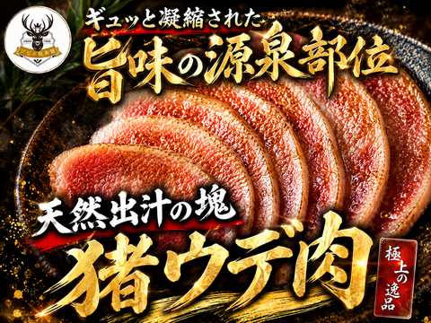 【料理の腕を疑われる旨さ】お肉を入れるだけでいつもの炒め物がプロの味に“旨味の源泉部位”🍖猪ウデ肉🍖小田原貴族ブランドお試しキャンセル約200g