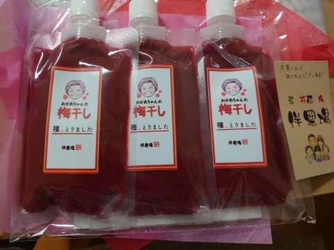 【無添加】昔ながらの　すっぱい自然の味!　おかあちゃんの梅干ペースト「種とりました」（梅肉）3個セット