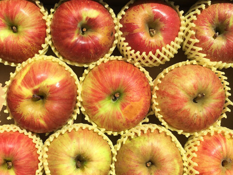【超訳あり】サンつがる 約2.5kg 7-14玉 【加工用向き】定番の夏りんご#NAT0C025