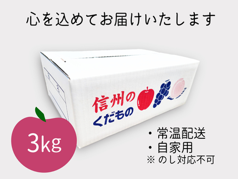 りんごの代表格！ サンふじ 3kg(7～12玉)自家用(訳あり品)  信州安曇野産りんご