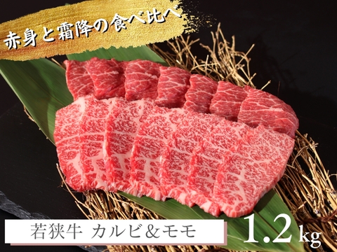 若狭牛 王道焼肉 カルビ ＆ モモ 1.2kg（6-7人前） 【 焼肉 お肉 お取り寄せ グルメ 贈り物 ギフト プレゼント 誕生日 おすすめ 赤身 霜降 】【母の日ギフト】
