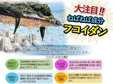 【海藻で涼しさをプラス】ネバネバ海藻 アカモク ３０個セット