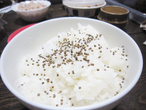 子供から大人、全ての生き物に安心を…自然栽培“荏胡麻（えごま：じゅうねん）”の栄養を“まるごと”実で食べてください！（１００ｇ）令和六年産