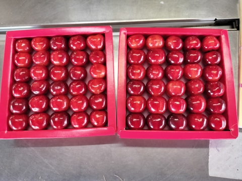 予約販売〈超大玉の新品種〉3Ｌ～4Ｌ玉のみの【やまがた紅王】　350gパックバラ　６月中旬～７月上旬発送　さくらんぼ