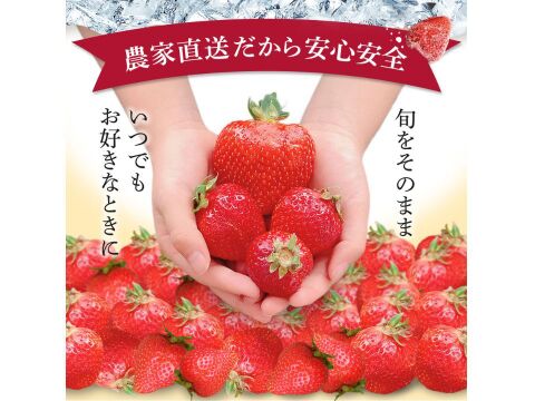 【冷凍いちご】あまおう いちご たっぷり18㎏