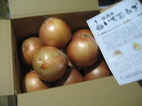 【野菜ソムリエサミット金賞🏆】淡路島玉ねぎ3kg