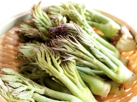 予約受付中 天然山菜  たらの芽３００ｇ やはりオススメは天ぷらです‼