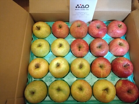 【特別栽培りんご】サンふじ🍎🍏王林セット5kg  キズなし良品🎁 低農薬 化学肥料不使用 特別栽培認証 りんご食べ比べ 詰め合わせ【冬ギフト】