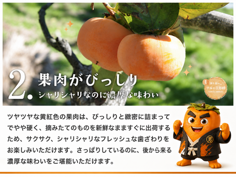 【2026年11月1日出荷開始〜】ご家庭用 中玉32〜36玉入り　⁂大人が選ぶ次郎柿⁂