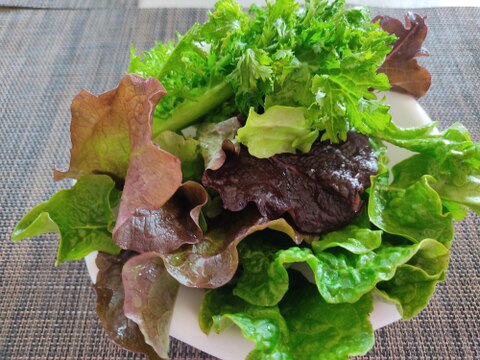 🥗香り広がる！ルッコラ約200g＆ミックスレタス約600gセット｜洗ってそのまま｜農薬・化成肥料不使用🥗