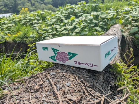 【生食用】【有機JAS認証】摘みたてブルーベリー2kg【1kg×2箱】