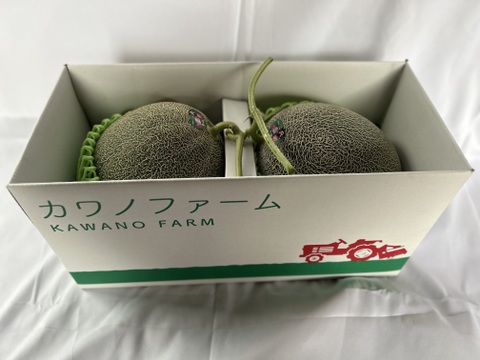 熊本県産 肥後グリーンメロン 優品 5Lサイズ 2玉入り 箱込み約5.8キロ