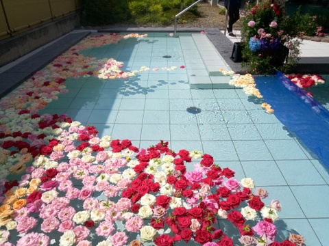母の日特別なプレゼント！　ローズバス　薔薇風呂