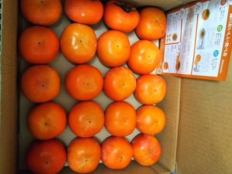 和歌山県産　富有柿（家庭用）SMサイズ18〜20個