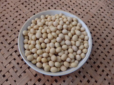 【自然栽培】黄大豆（小袋200g）