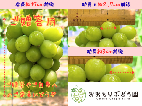 【7月下旬収穫】【ご贈答用】2.4kg　岡山県産シャインマスカット　600g前後×4房