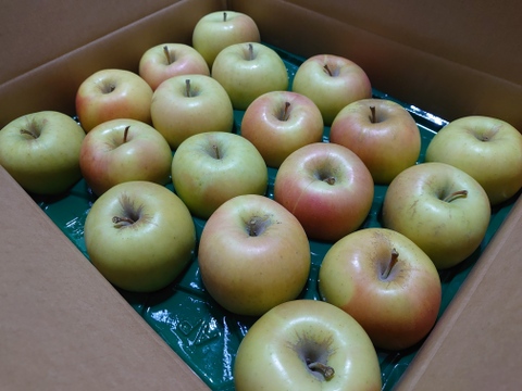 《予約受付》ぐんま名月5kg（14個～18個）青森県産りんご　家庭用