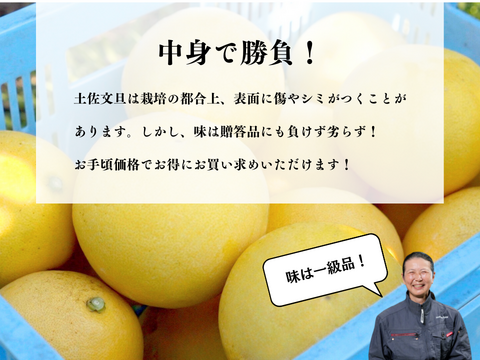 【訳あり3kg】土佐文旦！傷があっても味は一級品！