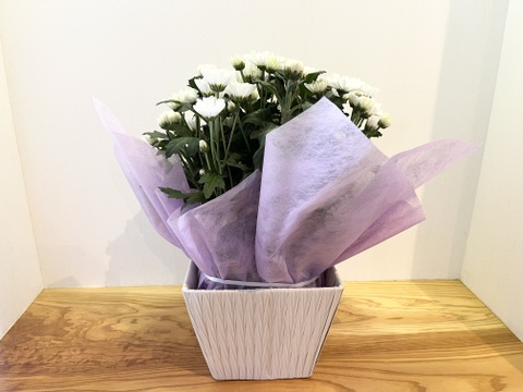 白菊とスプレーマムのお供えアレンジメント