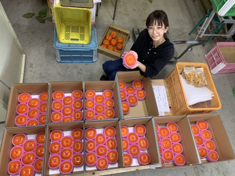 【30箱限定】宝石の様な柿、早秋柿！（5kg）