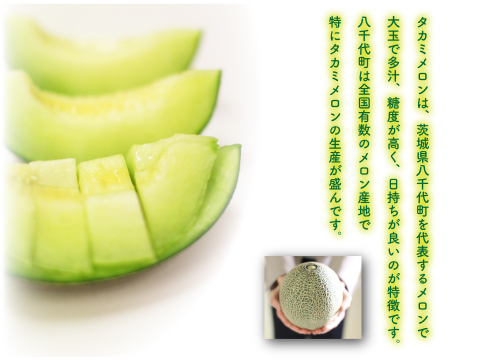 【これからの季節に】メロン和紅茶／2g×8（2袋） ティーバッグ フルーツティー 茨城県 八千代町 タカミメロン使用 猿島茶 松田製茶 冬にぴったり クリックポスト TBG-049