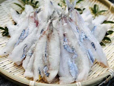 簡単調理・深海メギスの開き加工1PC/15枚