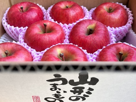 幻の蜜りんご‼️山形県産こうとく【秀3キロ】