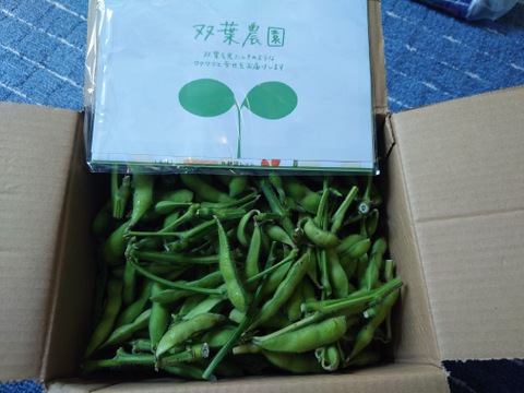 【大好評(^^♪ 】枝つき枝豆　“神風香”『アンチ　ステルス値下げ！』 (1600g) from 名水の里　神奈川県秦野市