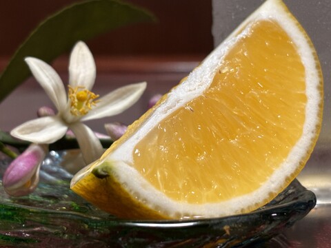 【朝市限定】西表島産 マイヤーレモン(2kg)