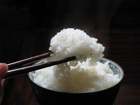 令和4年長野県産モッチモチ！冷めても硬くならないおにぎりやお弁当にも最高のお米ミルキークイーン（白米5kg）