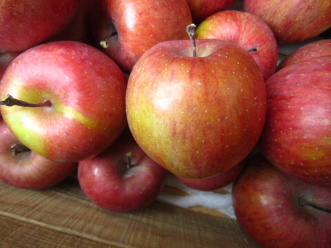 加工用にいかがでしょうか 訳ありサンふじ 総重量 約4.5kg 青森県 南部地方産 自家りんご農園生産直送品！