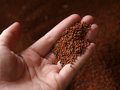 【母の日ギフト】スーパーフード「ケール」餃子＆無添加 旬搾り青汁グリーンジュース「いつまでも元気でいてね！」というメッセージを込めて