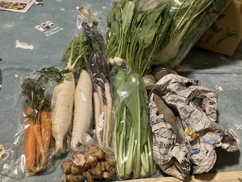 根っこ農園　自然風味お野菜セット