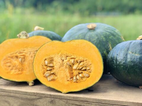 ホクホクがたまらない♪三右エ門栗かぼちゃ 3kg(中２玉)　【化学肥料不使用】