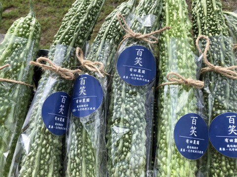 (単身者向け)未来へつなぐ 固定種・在来種 自然栽培野菜セット60サイズ　農薬不使用　有機肥料含む全ての肥料不使用