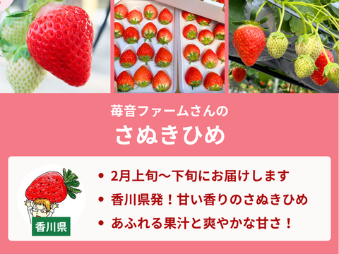 【売り切れ】　【限定100セット】いちごグランプリ受賞いちご食べ比べ便【Aコース】（食べチョク公式）