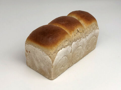 【超貴重な有機JAS認証パン】パンセット④改+食パン：麦の栽培から一貫生産　自然栽培小麦のみ使用したパンセット