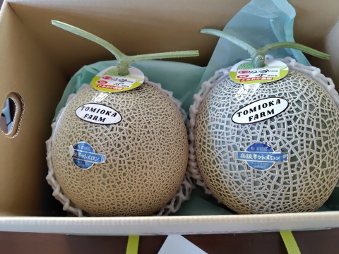 【じゅわ甘】とみおか農園のアールスメロン2玉